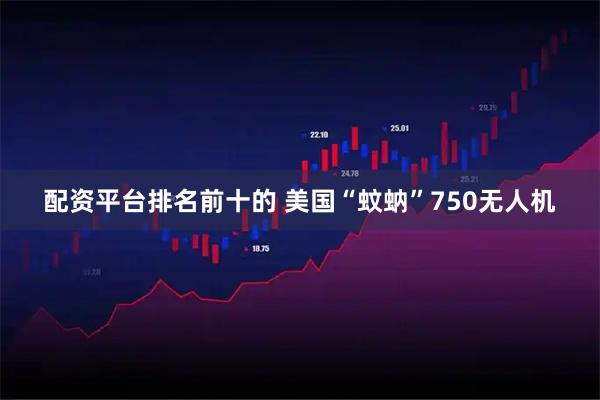 配资平台排名前十的 美国“蚊蚋”750无人机